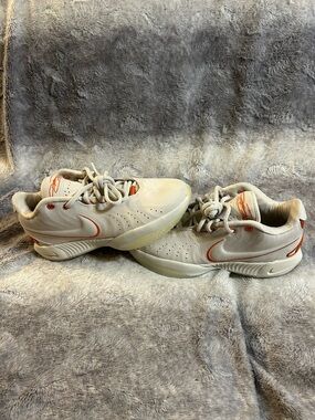 Nike LeBron 20 Akoya Size 8.5 Euc
